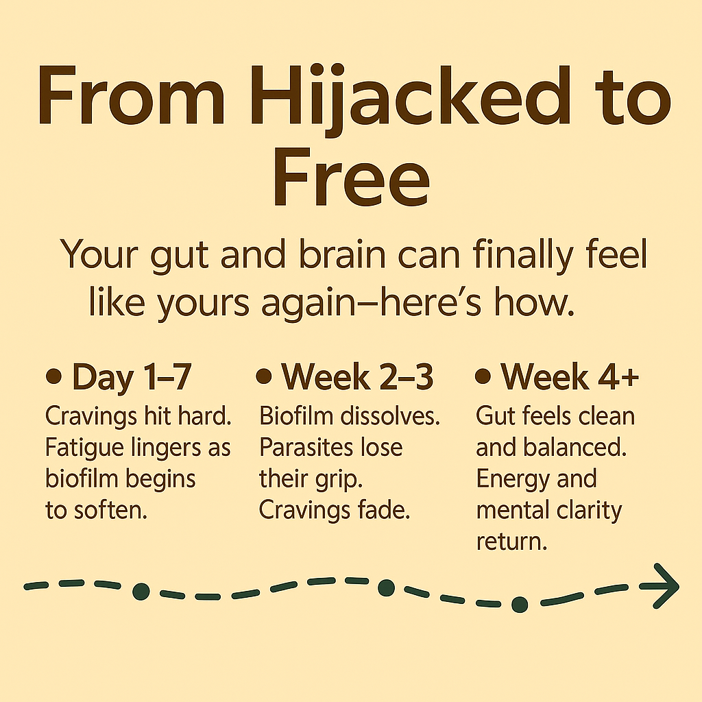 Zyra Biofilm Cleanse