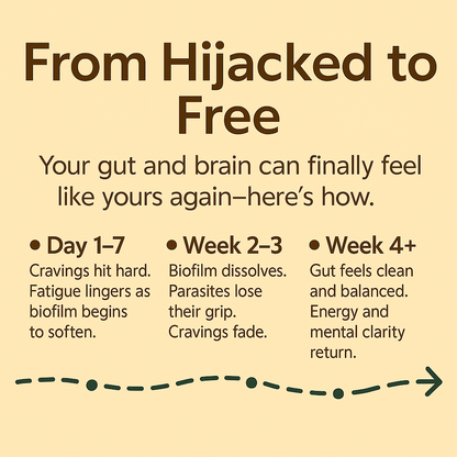 Zyra Biofilm Cleanse